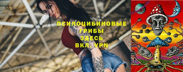индика Гусев