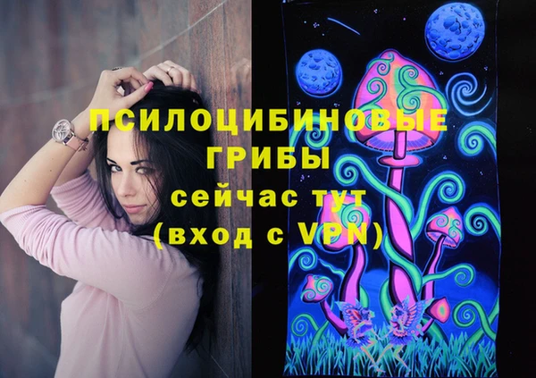 мяу мяу мука Алексин