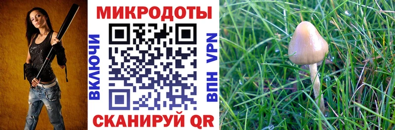 мориарти какой сайт  Сочи  Псилоцибиновые грибы ЛСД 